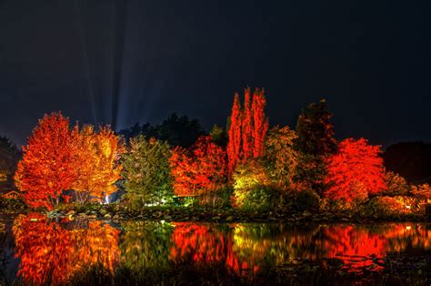 Herbstfest, Blütenpracht, Herbstfarben, Norddeutsche Gartenschau ...