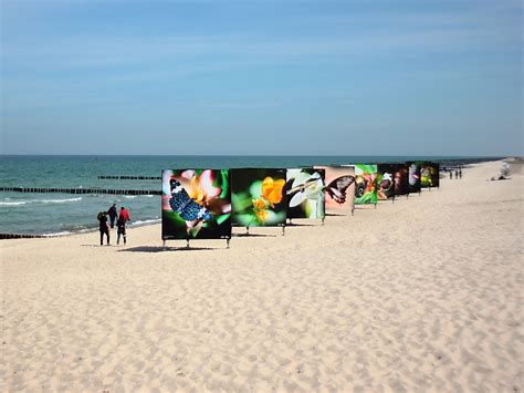 The alfred wegener institute carries out research in the arctic and antarctic as well as in the high and mid latitude oceans. Zingst Strand Fotografien 2014 Max Hünten Haus Zingst