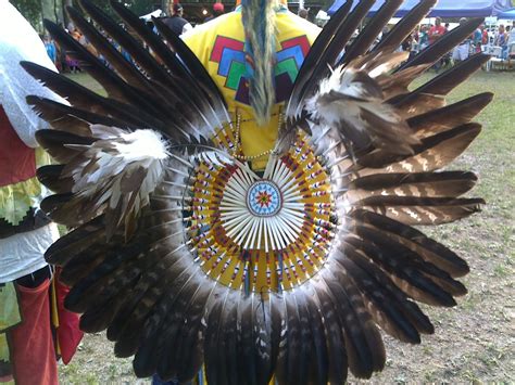 soft feathers native american regalia native american peoples native wears