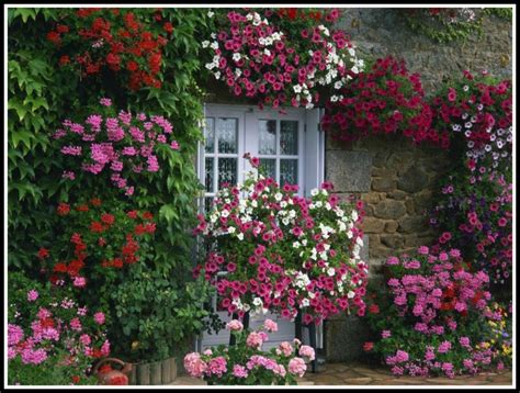 See more of house beautiful on facebook. The Gardens of France | Sanctuary Gardener