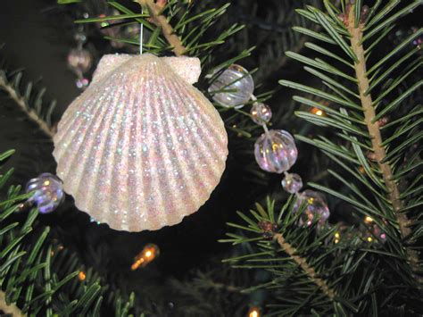 4 Crazy Kings Christmas Ornament Craft Glittered Sea Shells