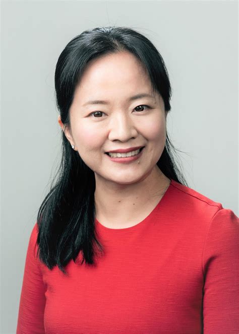 Biography Of Professor Hui Ying Yang Ieee Nanotechnology Magazine