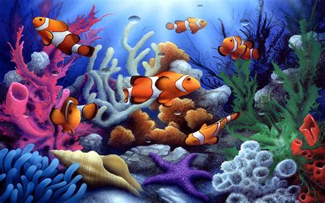 Colorful Underwater Coral And Fish 1600x1200
