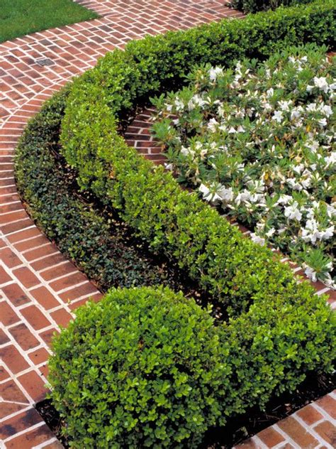 Boxwood Hedge Design Pictures Remodel Decor And Ideas I Like How