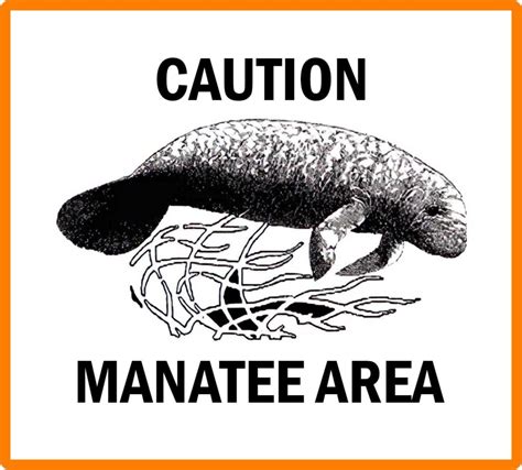 Protect Manatees Manatee Boat Strikes Boating Signs