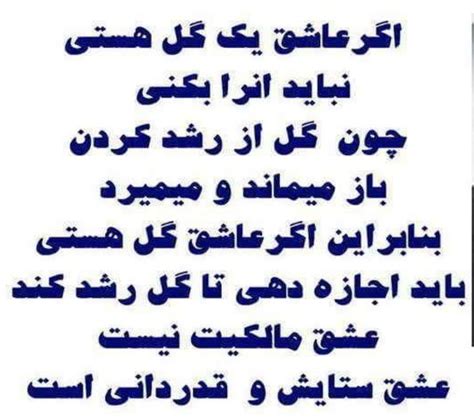 Pin By Bebe Pour On نوشته هاى زيبا Afghan Quotes Poems Farsi Poem
