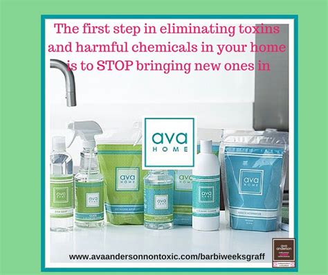 St Step In Eliminating Toxins In Your Home Is To Stop Bringing Them In