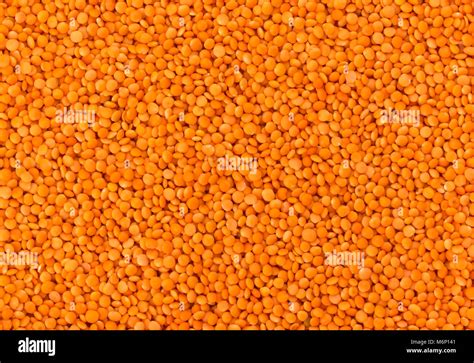 Red Lentils Texture Stock Photo Alamy