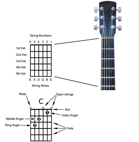 Guitar String Notes Chart