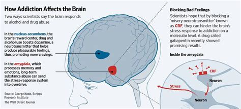 Wsj Graphics On Twitter How Addiction Affects The Brain Infographic