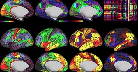 This Is The Most Detailed Map Of The Human Brain Ever Detailed Map