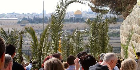 Mount Of Olives And The Palm Sunday Road Podcast