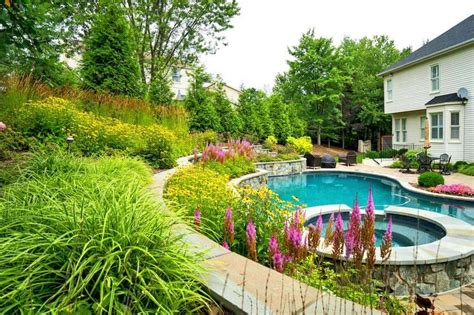 Landscape Design Ideas For Your Pool Plants For Poolside Perfection