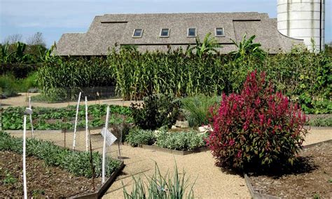 Edible Acres At Powell Gardens Feed And Educate Students To Chefs