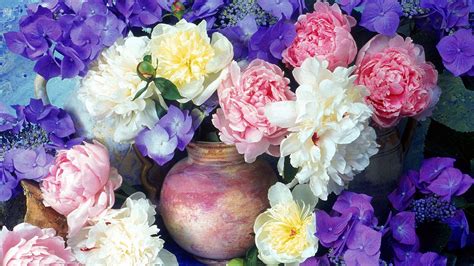 Colorful Peonies Hydrangea Flowers With Jugs Hd Flowers Wallpapers Hd