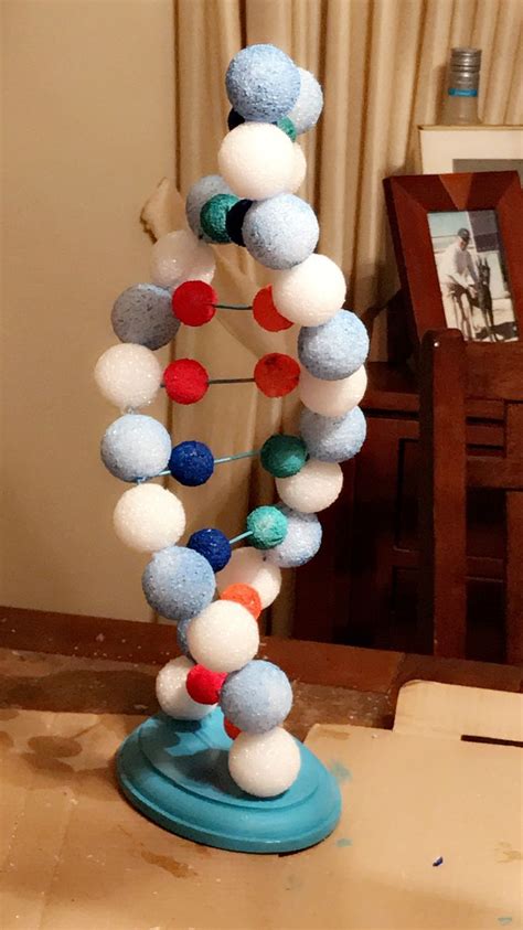 Modelo De Dna