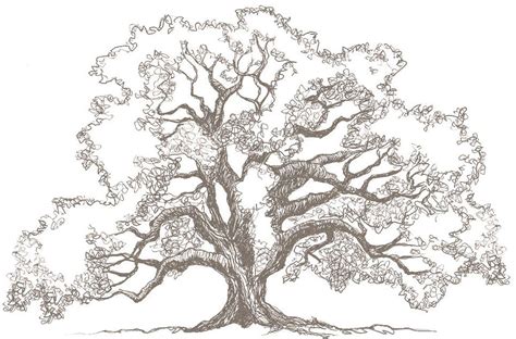 Love Tree Oak Tree Drawings Oak Tree Tattoo Tree Sketches