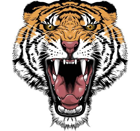 Download Free Tiger Face Transparent Icon Favicon Freepngimg