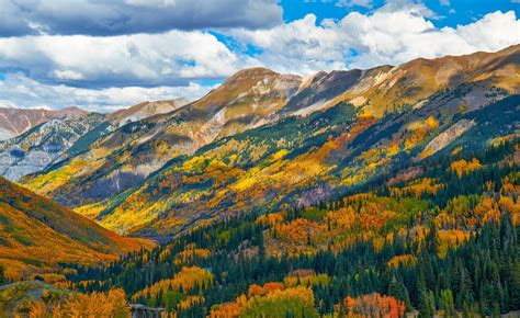 Mountain Forest Forest Colorado Autumn Usa Wallpapers Hd Desktop