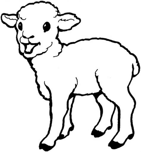 Lannoo publishers part of lannoo publishing group has established a global presence with international art lifestyle childrens non fiction books. Baby Born Sheep Coloring Page : Coloring Sky