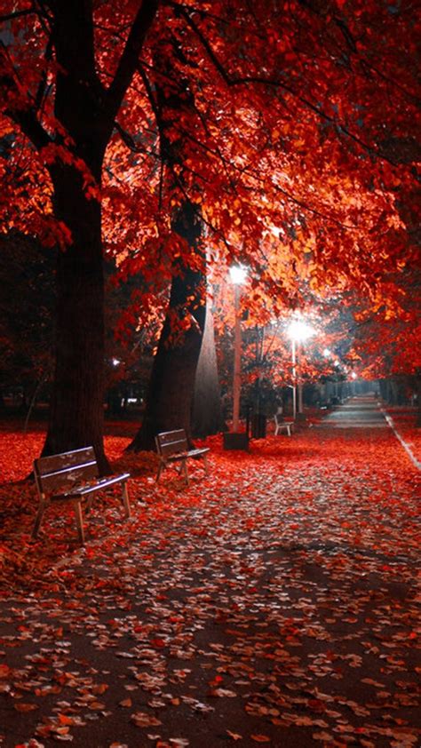 Autumn Night Wallpapers Wallpaper Cave