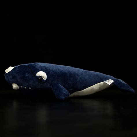 Right Whale Soft Stuffed Plush Toy Gage Beasley
