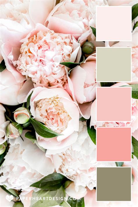 Blush Pink Sage Green Peony Color Palette Color Palette Pink Color