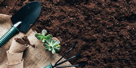 How To Amend Clay Soil For Vegetable Gardening