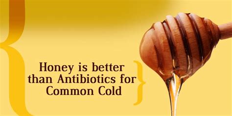 honey vs antibiotics research shows natural sweetener can be more effective in fighting