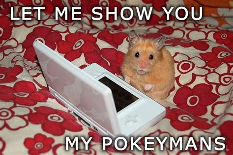 Image 3659 Let Me Show You My Pokemans Know Your Meme