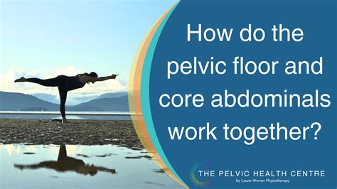 How Do The Pelvic Floor And Core Abdominals Work Together — Laura