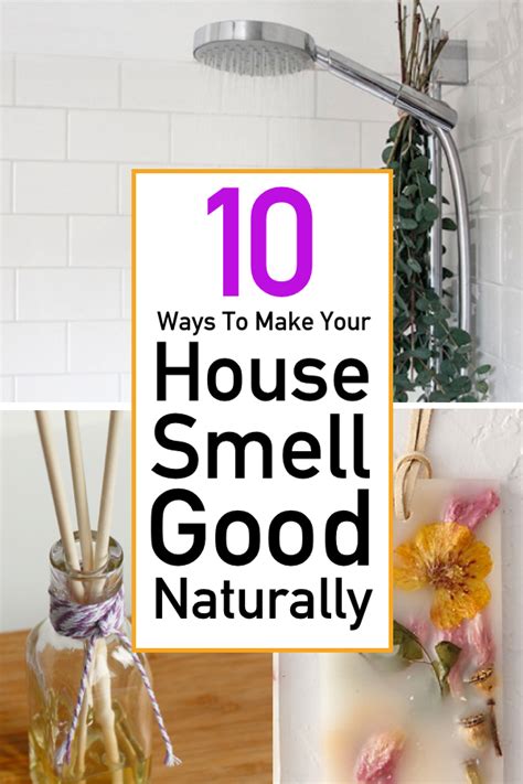 How To Make Your House Smell Good Naturally The Unlikely Hostess