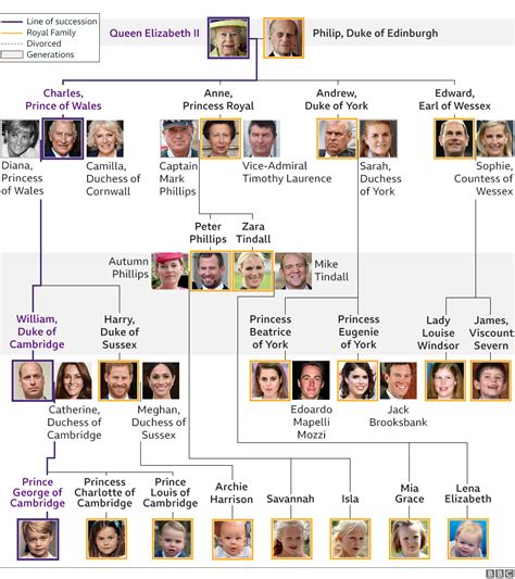 What's interesting about the royals in particular is that many of them. Royal Family tree and line of succession - BBC News