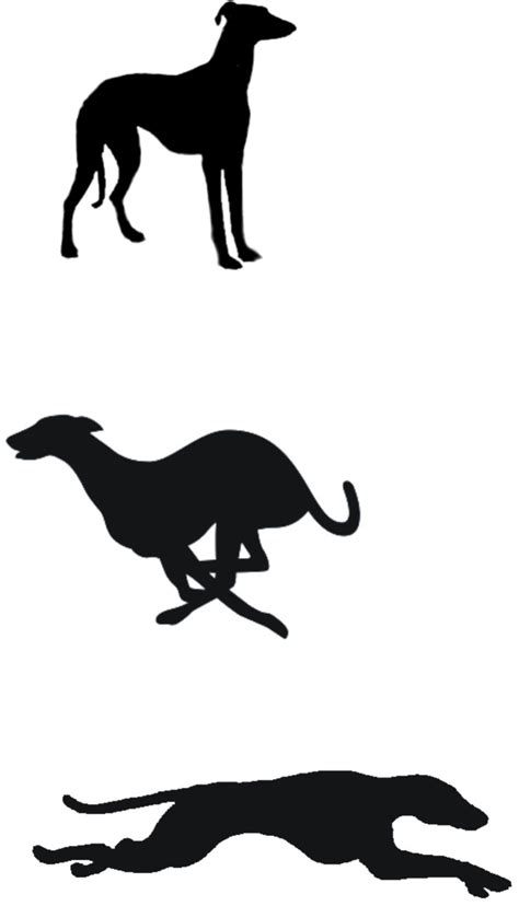 Dog Racing Clipart 20 Free Cliparts Download Images On