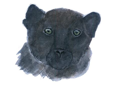 Black Panther Cub Painting By Charles Dyer