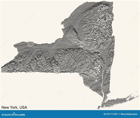 Mappa Topografica Leggera Di New York Usa Illustrazione Vettoriale