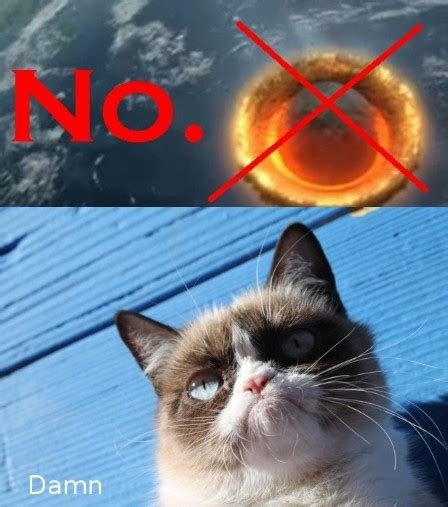 No Cat Meme Cat Planet Cat Planet