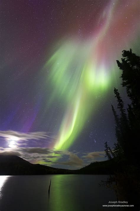 Auroral Burst Taken September 19 2014 Near Whitehorse Yukon Canada