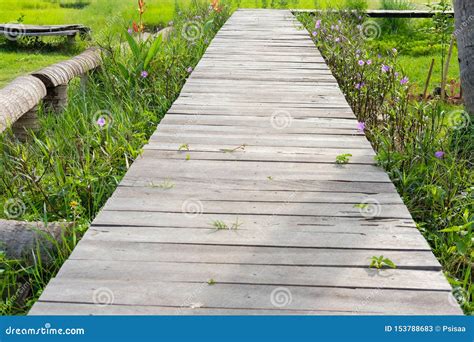 Wooden Bridge Footbridge Walkway Pathway Along Flower Field Stock Image