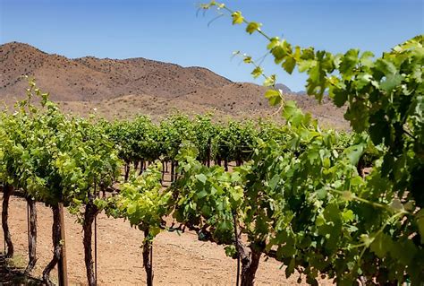 Best Verde Valley Wineries In Arizona WorldAtlas
