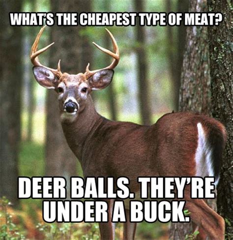 Funny Quotes About Deer Season Quotesgram