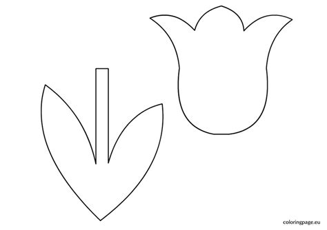 Print coloring of tulip and free drawings. 6 Best Images of 3D Tulip Template Printable - Tulip ...