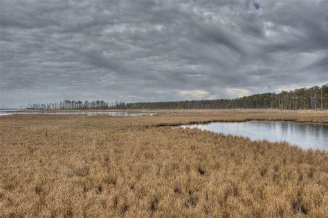 The refuge is accessible off route 50 and mostly consists of marshland. Elevation of Dorchester County, MD, USA - Topographic Map ...