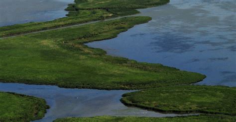 Overview Of Ramsar Sites Wetlands International