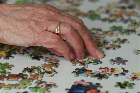 In Home Senior Care Articles Fun Activities For Seniors