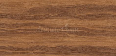 Natural Wood Texture With High Resolution Wood Background Stock