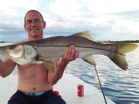 How To Fish For Slob Snook In Florida The Complete Guide Updated 2023