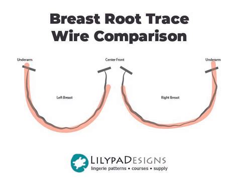 How To Take A Breast Root Trace — Lilypadesigns