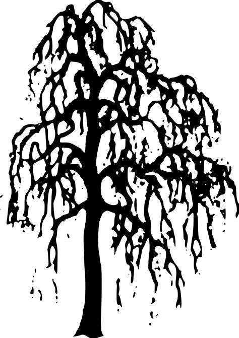 Free Willow Tree Silhouette Clip Art Download Free Willow Tree