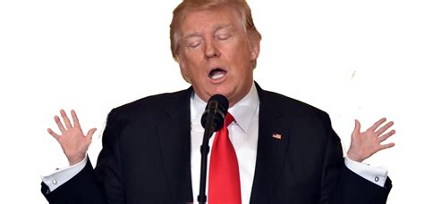 Donald Trump Png Transparent Image Download Size 1200x581px